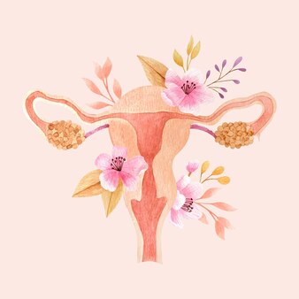 The Importance of DHEA in Fertility